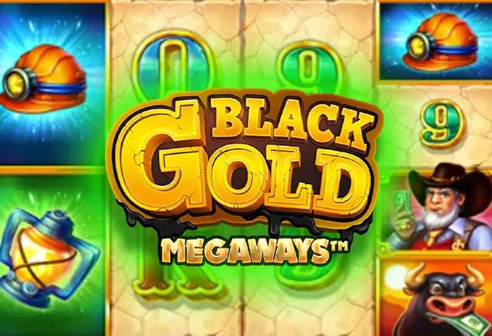 Interface Playzonbet Casino gerenciando seu cadastro, depósitos e solicitações de saque.