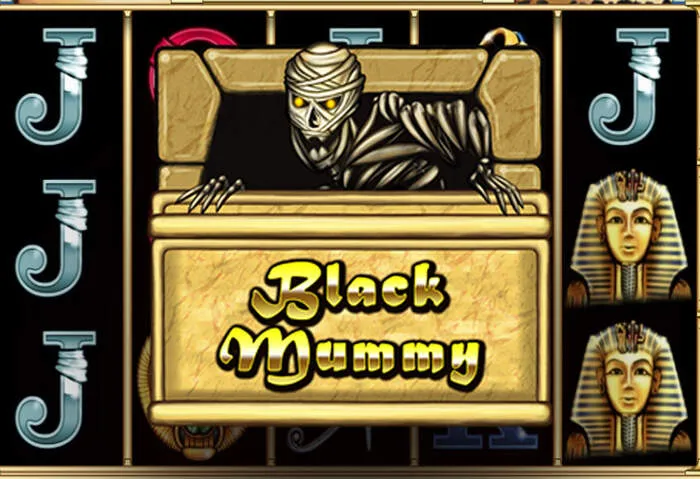Playzonbet Casino Welcome Bonus & Game Selection jackpot winner.